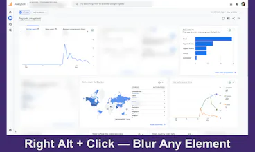 Privacy Shield gallery image