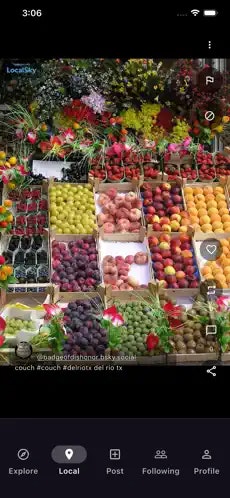 Localsky Marketplace media 7