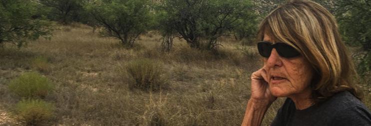 The Visiting Privilege gallery image