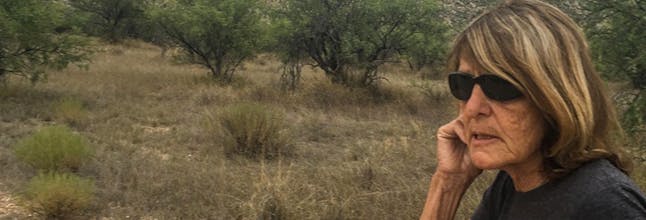 The Visiting Privilege gallery image