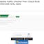 Website traffic checker free (Bulk)