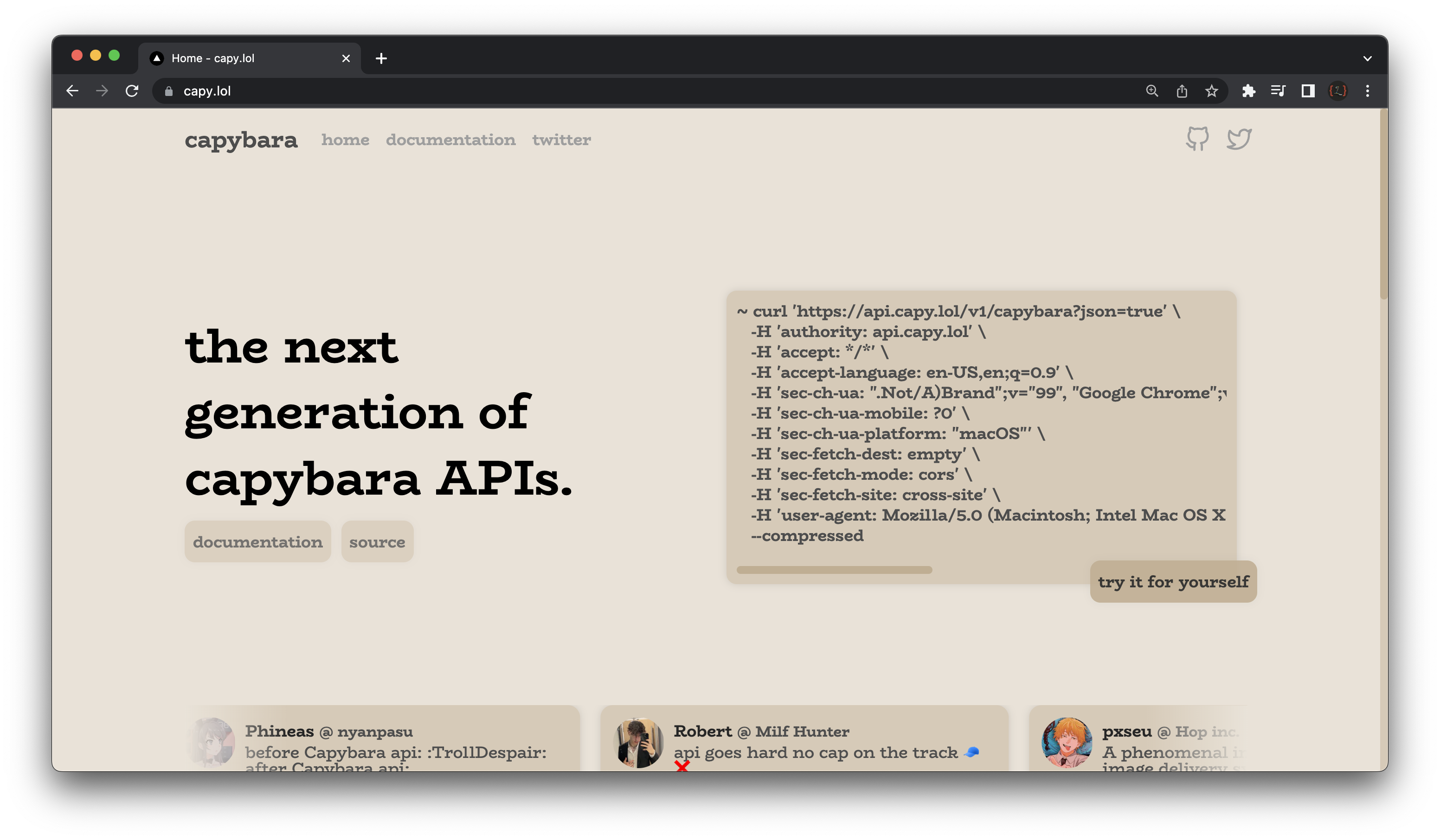 Capybara API - Leuke, snelle en open source capybara API media 1