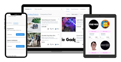 Dropship CEO gallery image