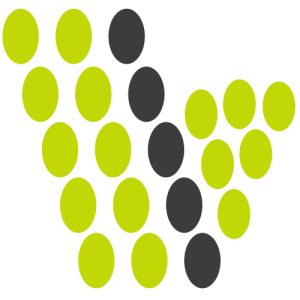 Creative Next Solutions