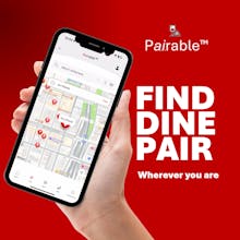 Pairable.ai gallery image
