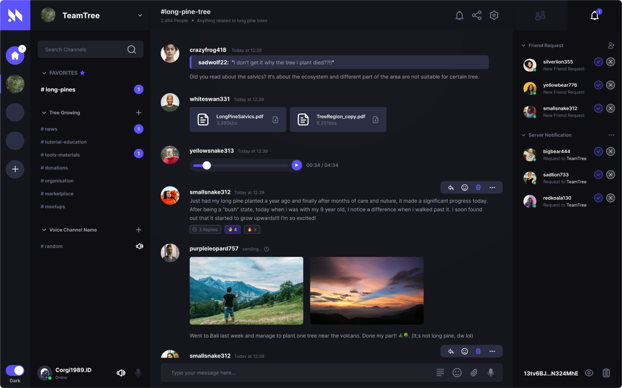 Mumble Encrypted text and voice chat for passionate communities