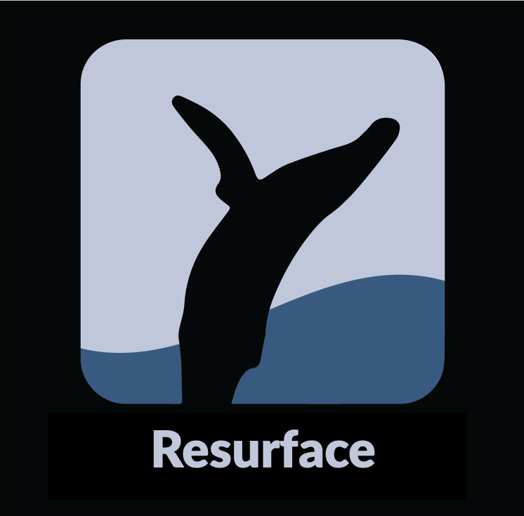 Resurface Pilot Edition