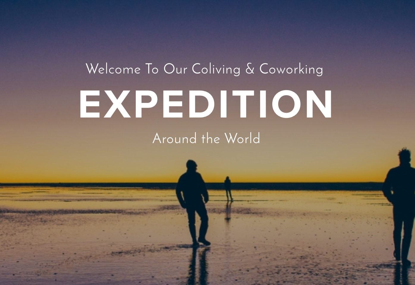 WiFi Tribe gallery image