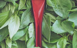 Polygons | The Flat 4-in-1 Measuring Spoon media 1