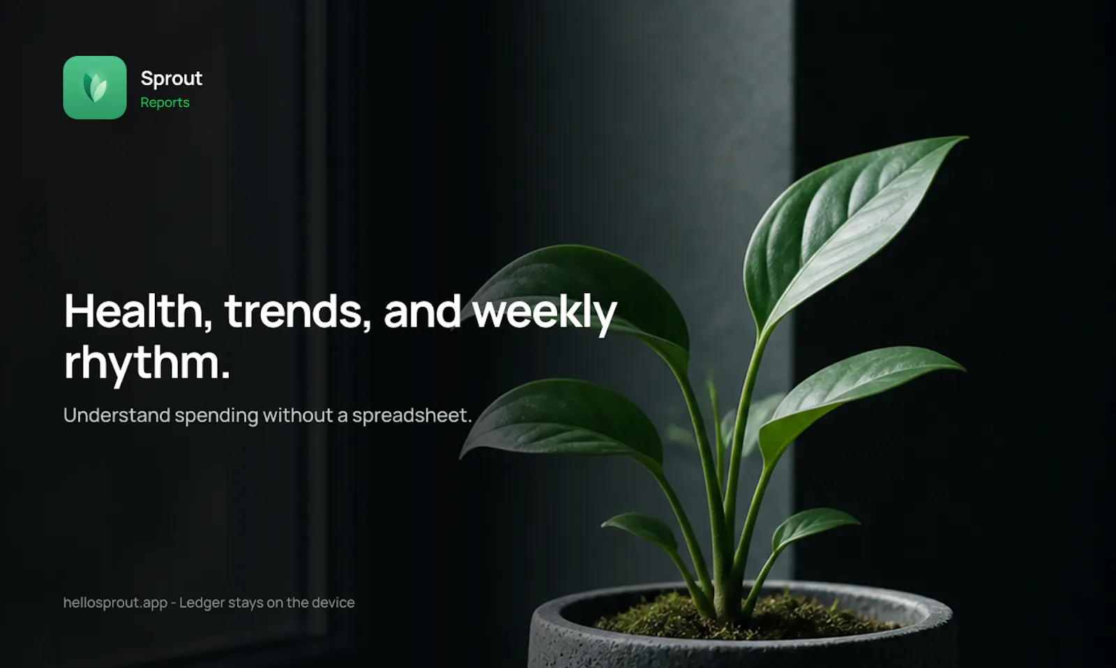 Sprout screenshot 5