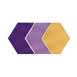 Wiseek logo