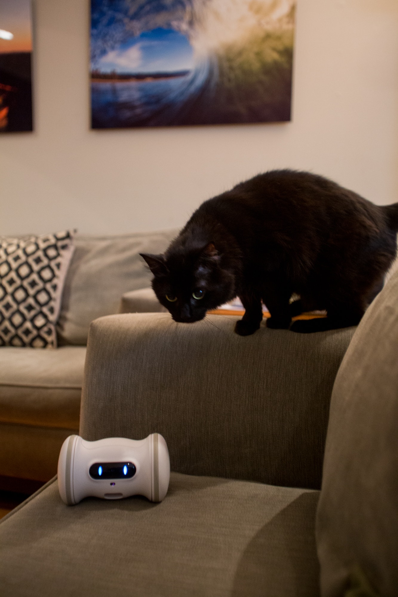 varram pet robot cat