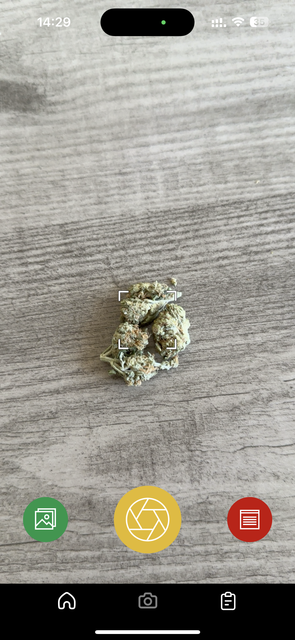kush 스캔 - 잡초 변형 인식을위한 모바일 앱 미디어 2