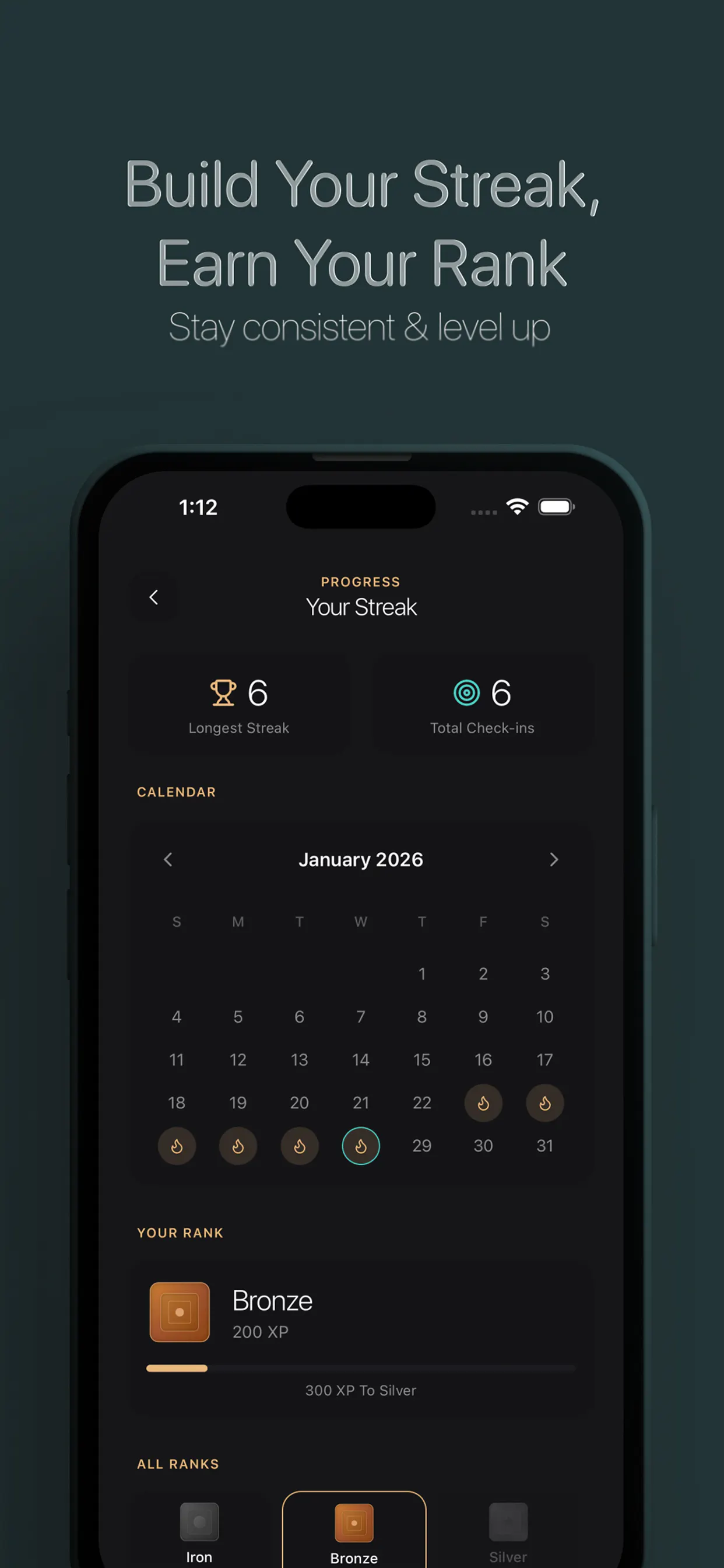 FitStreak gallery image