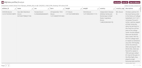 HQ Data Profiler gallery image