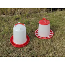 Chicken Medium Feeder and Drinker Set gallery image