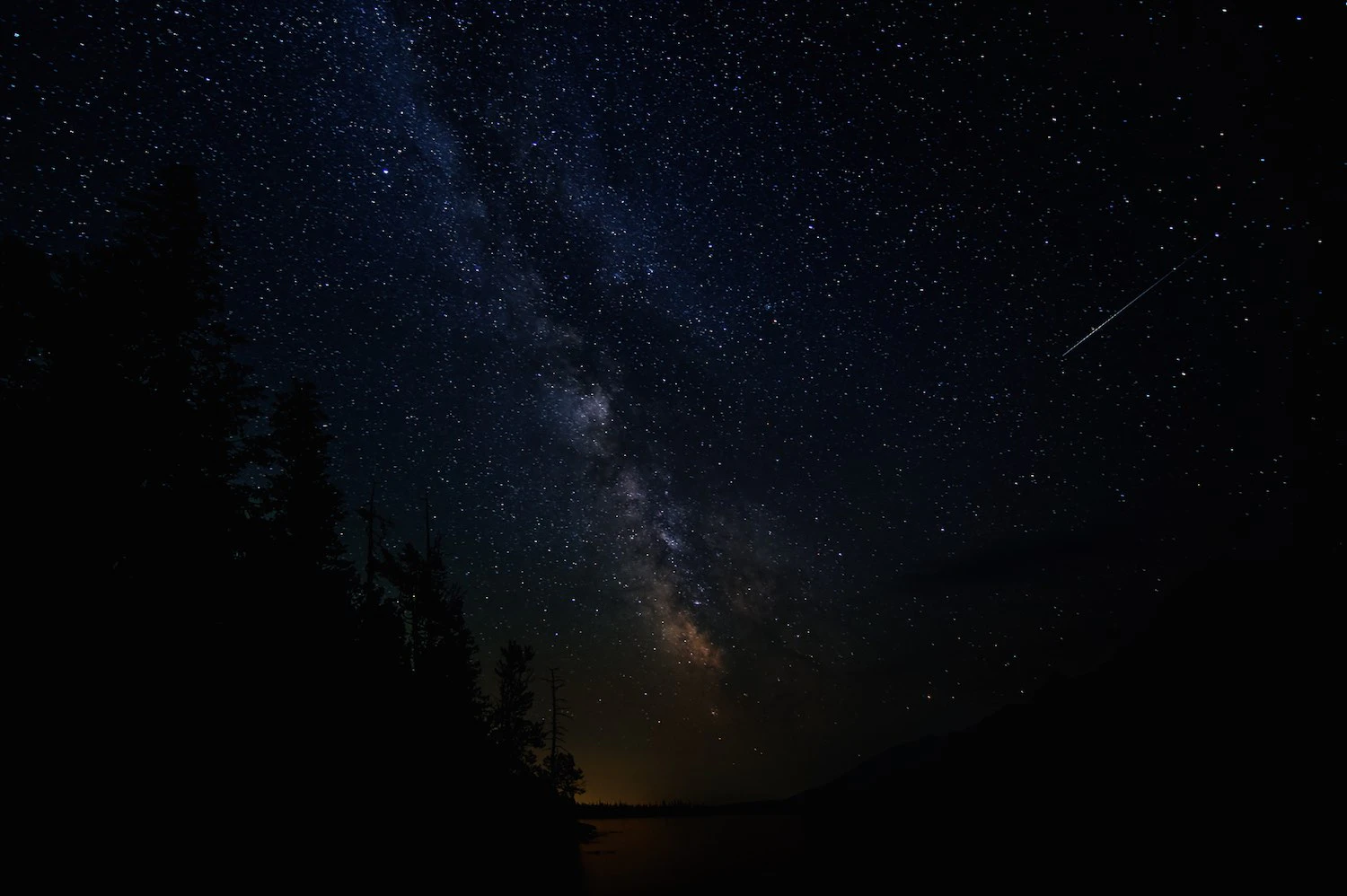 night night . みんな