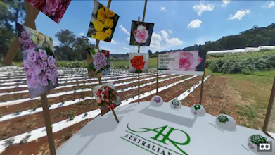 AIFE for Virtual Reality gallery image