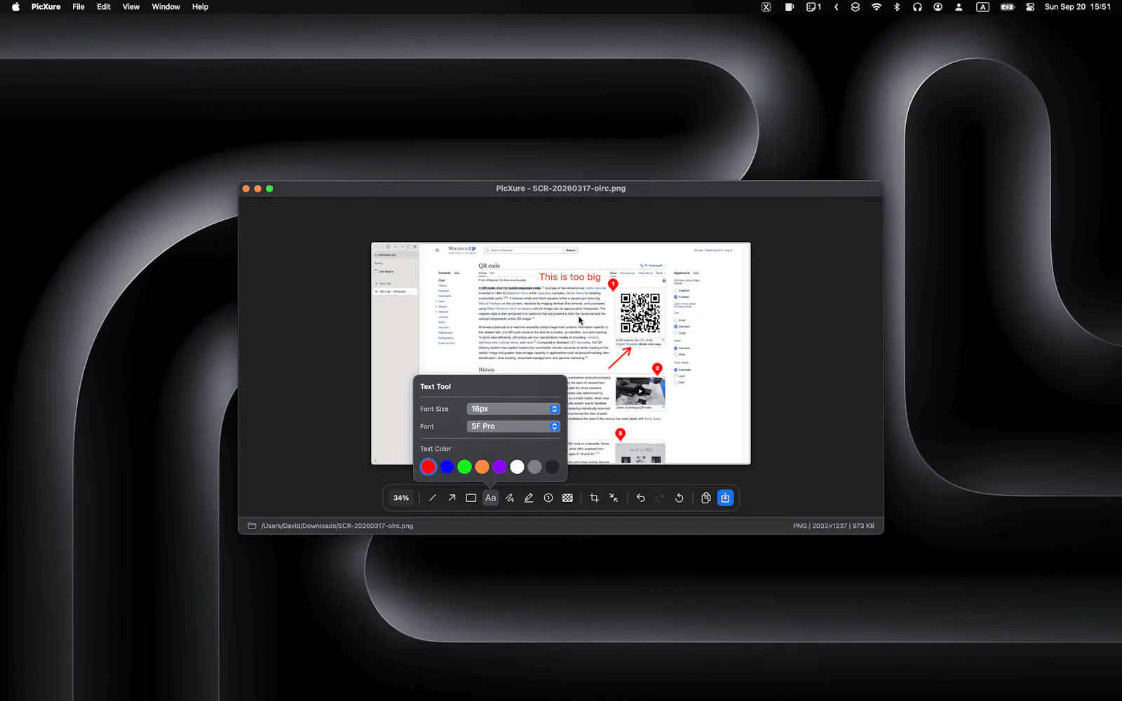 PicXure screenshot 3
