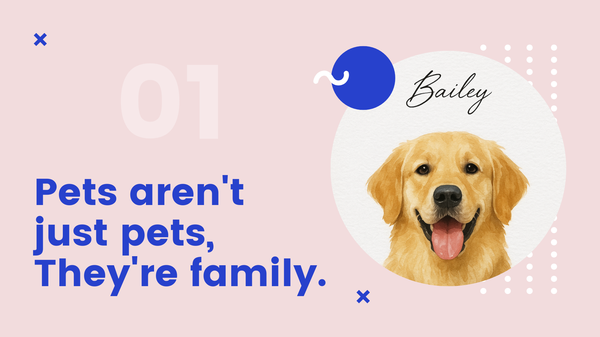 Hello Pet Dreams media 2