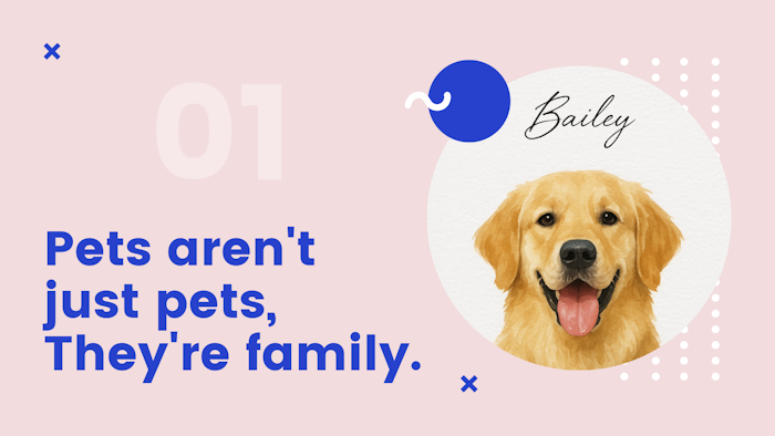 Hello Pet Dreams产品图