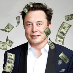 Spend Elon Musk's Money