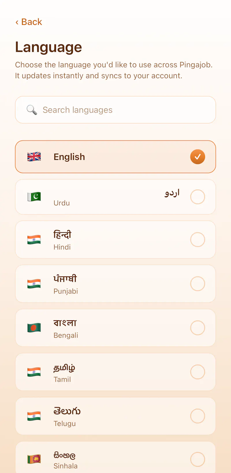 Pingajob screenshot 7