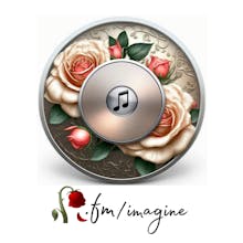 /imagine gallery image