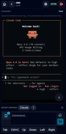 Remote Terminal gallery image