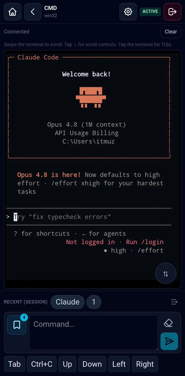 Remote Terminal screenshot