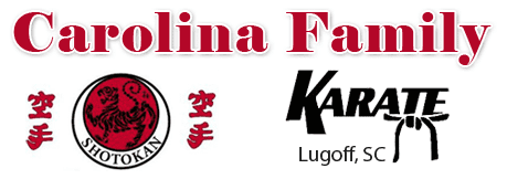Carolina Family Karate gallery image