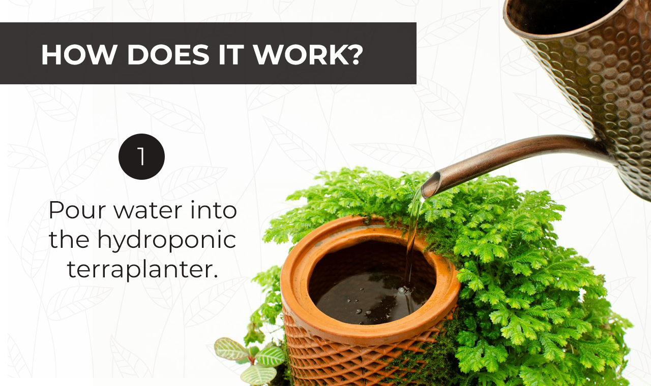 terraplanter gallery image