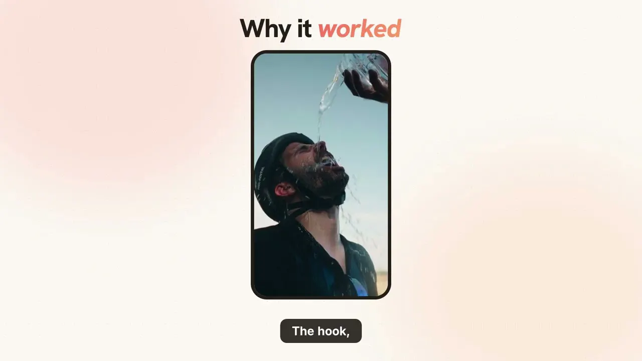 Viewlify gallery image