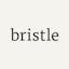 Bristle Oral Health Test