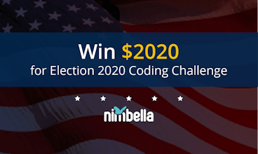 Election 2020 Coding Challenge gallery image
