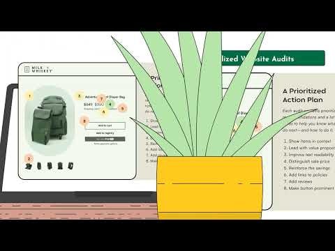 Flourish Commerce Website Audit gallery image