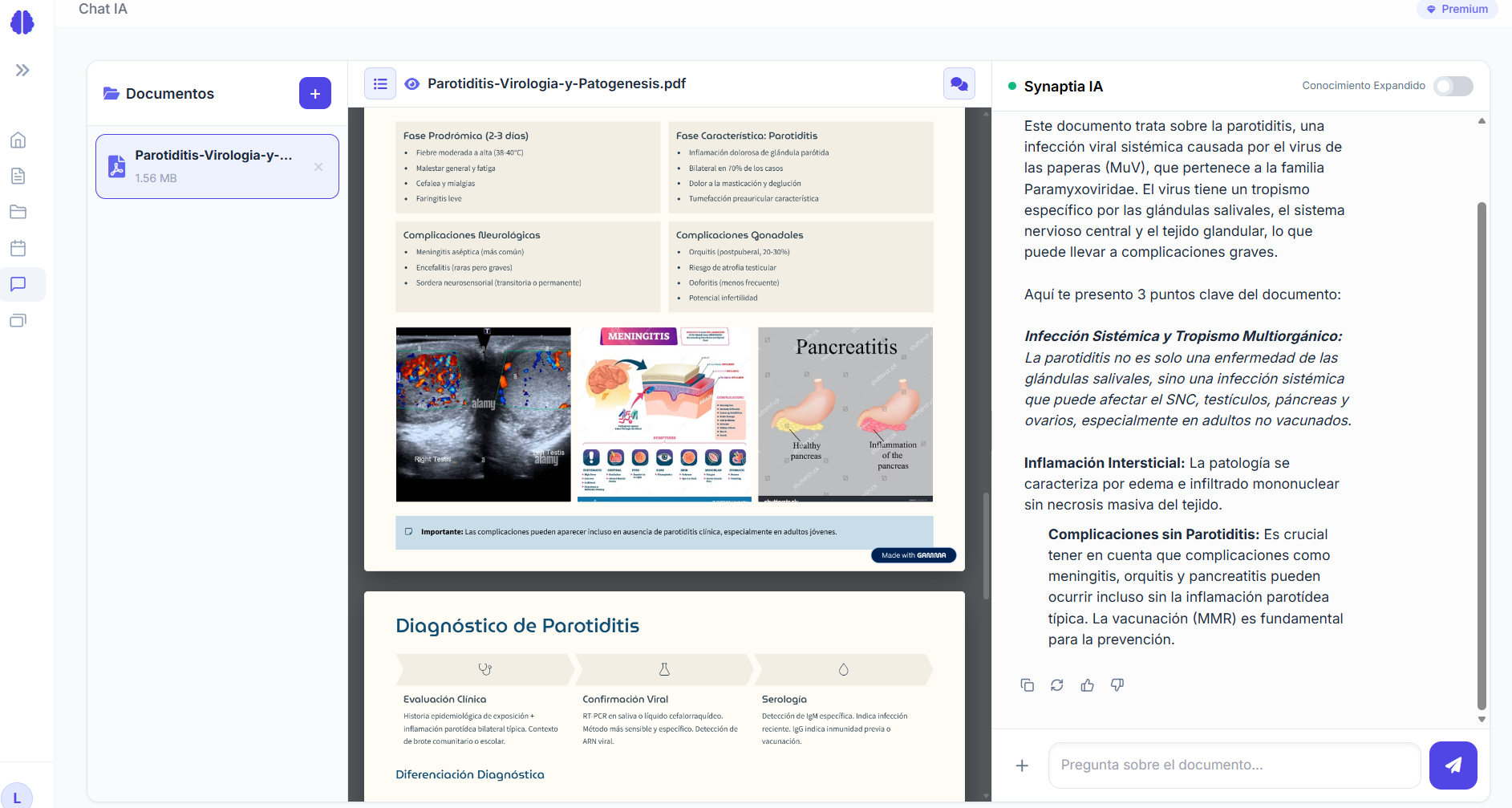 Synaptia gallery image