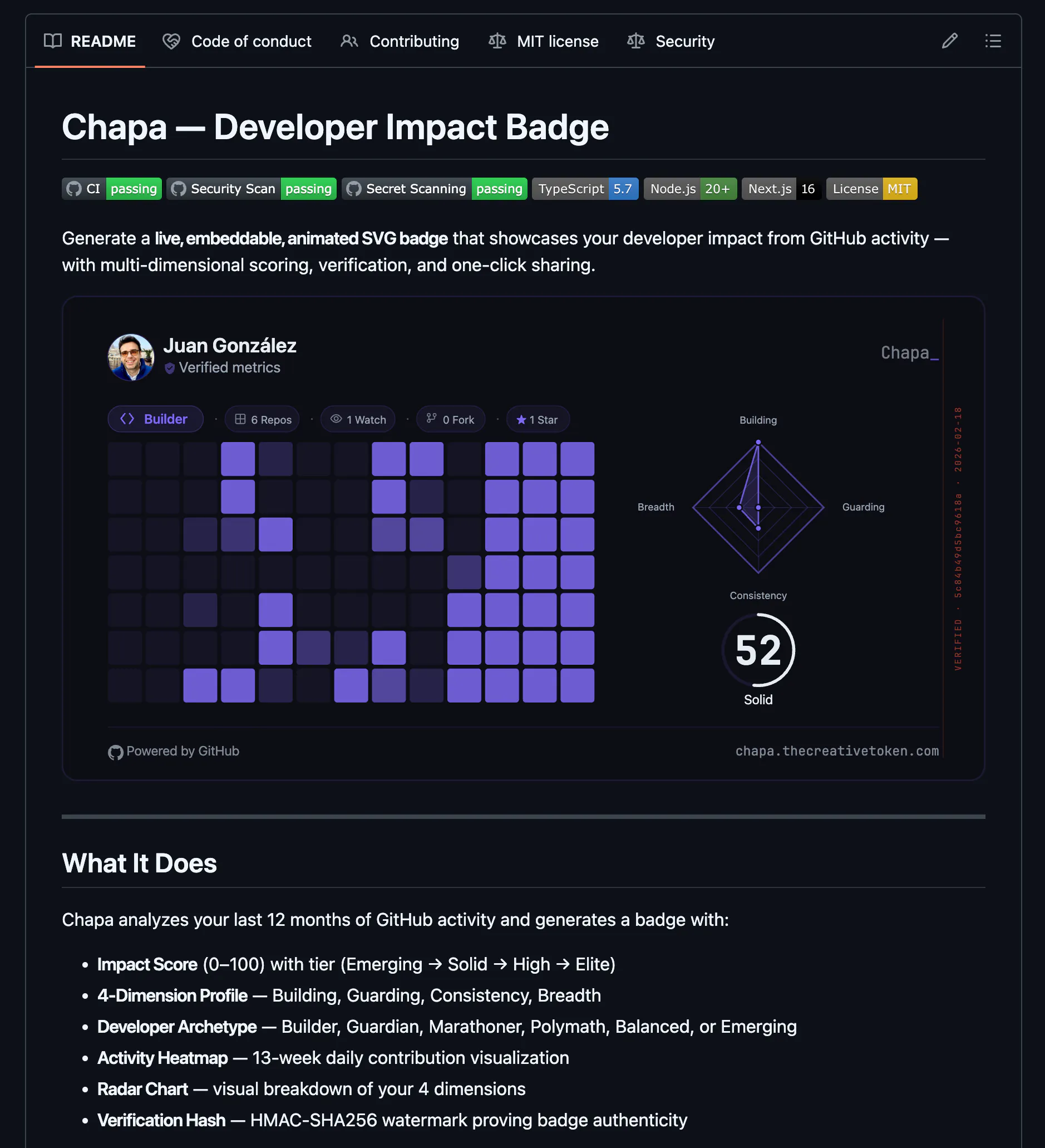 Chapa- Developer Impact, Decoded. gallery image