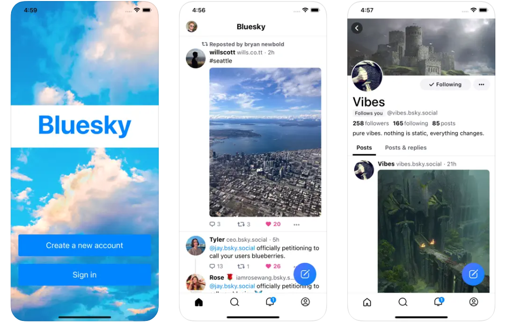 Bluesky Services media 1