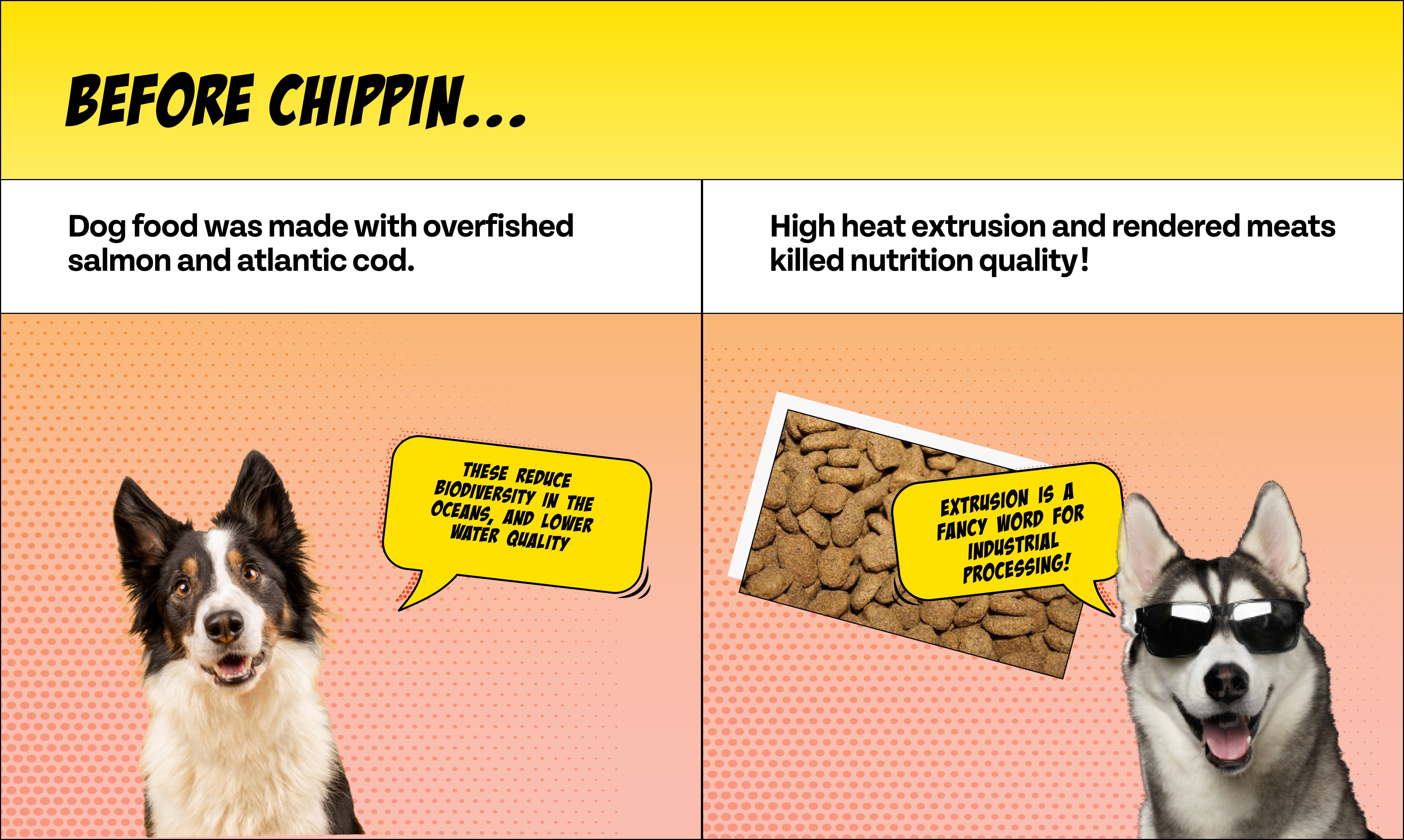 Chippin Silver Carp Daily Dog Food media 3