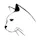 Caticature