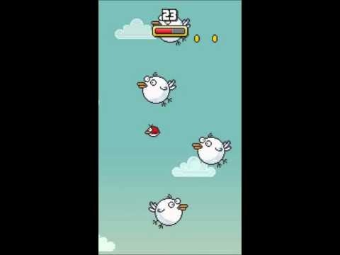 Bolo Bird gallery image