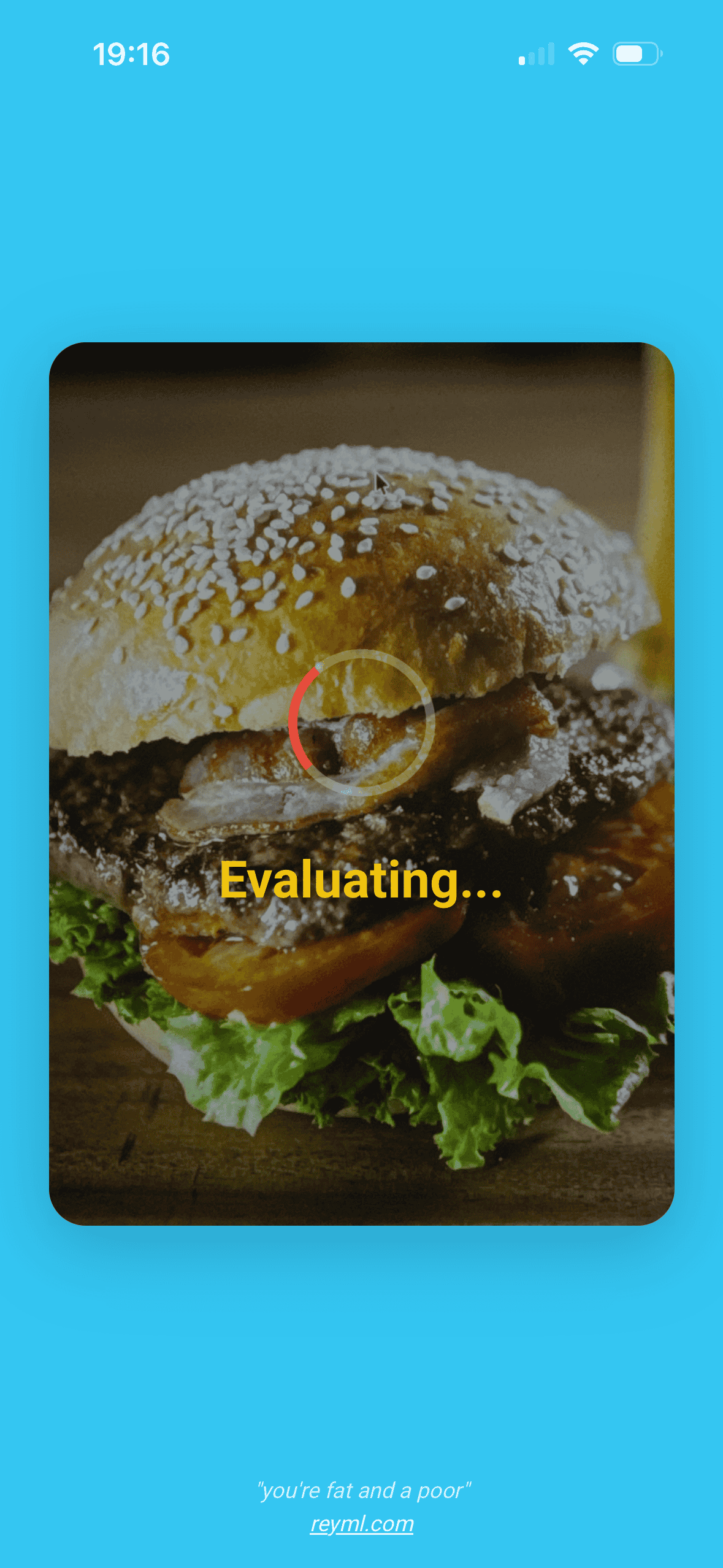 Niet hamburger - Is het een hamburger of niet! media 1