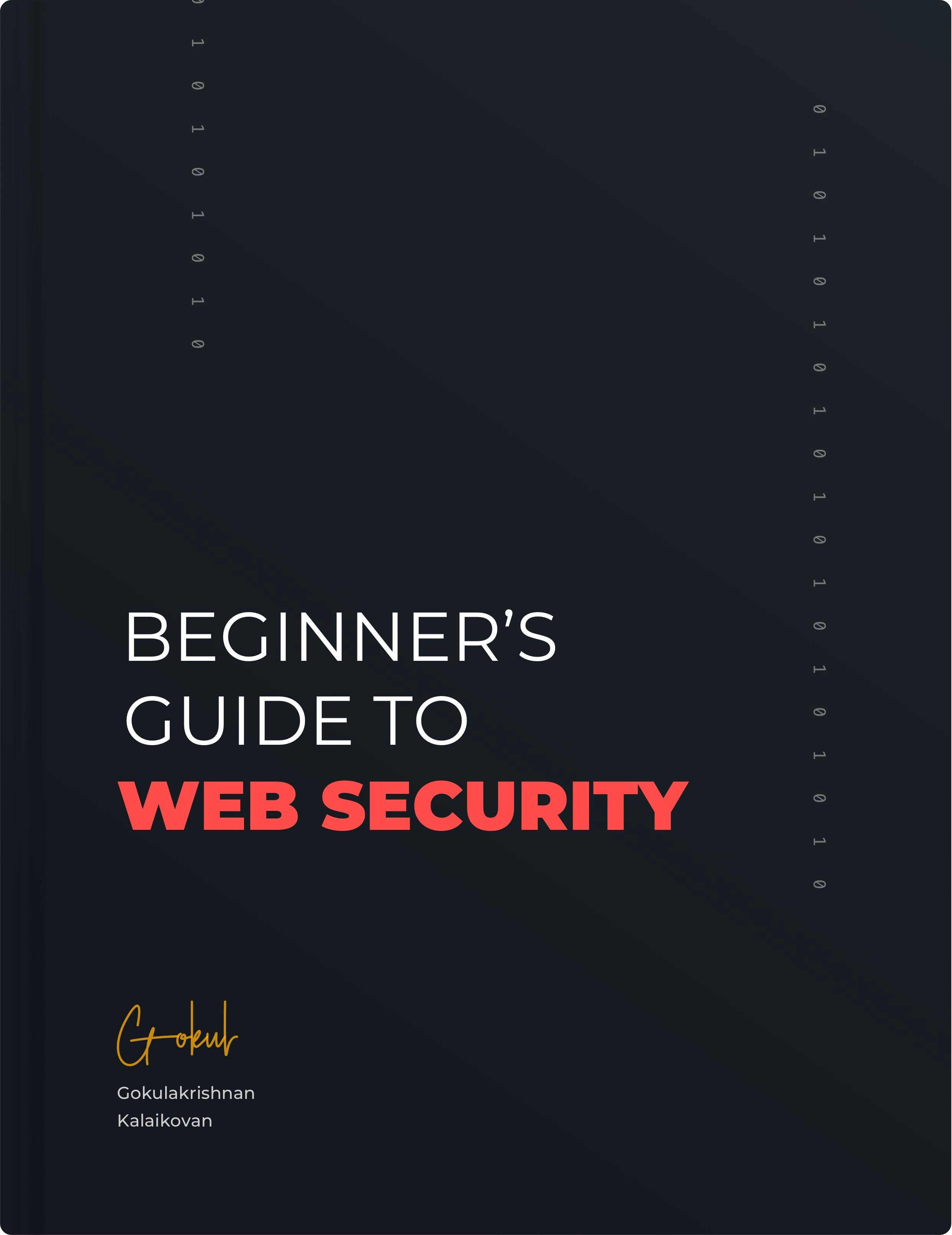Beginner's Guide to Web Security gallery image