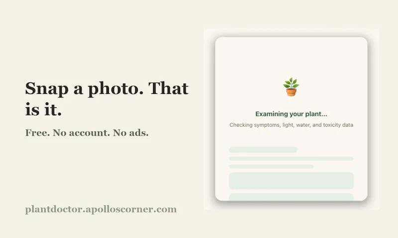 Plant Doctor screenshot 3