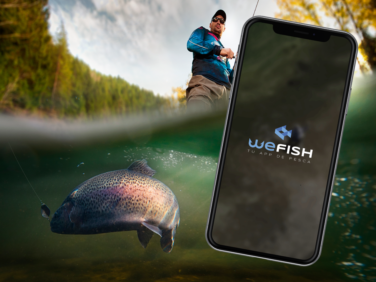 WeFish gallery image