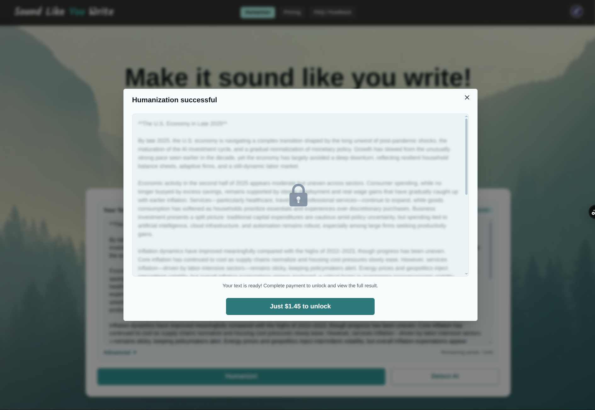 Sound-Like-Your-Write - Screenshot 2 showing product features and functionality