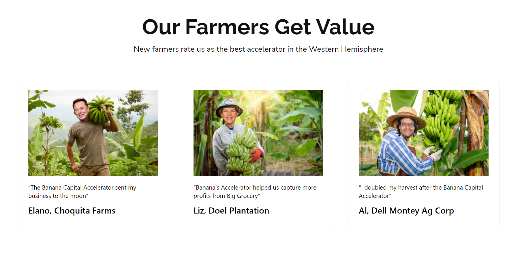 Banana Capital Accelerator gallery image