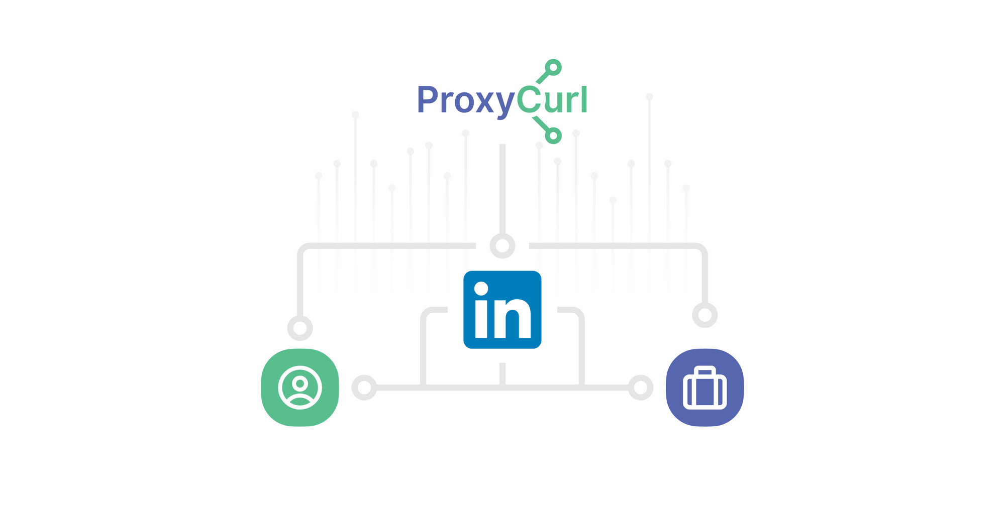 Proxycurl media 1