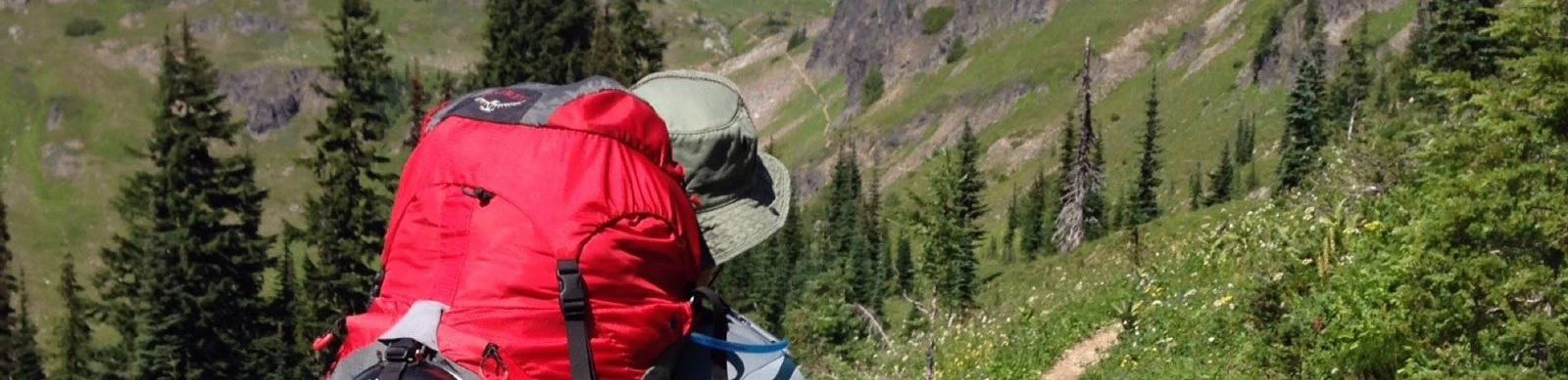 Stephen Johnson cover